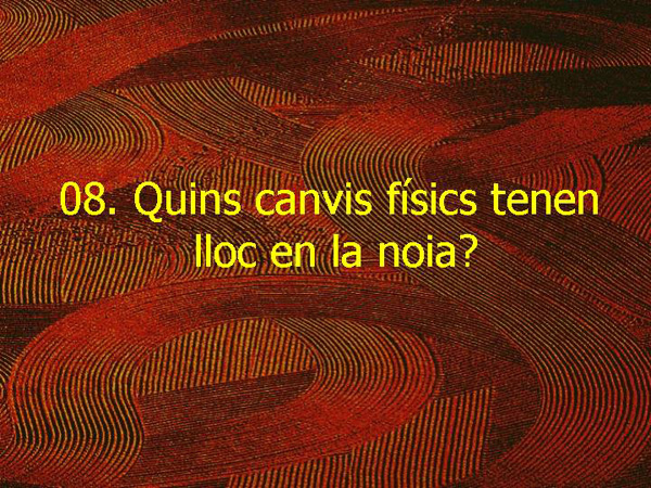 EC1 30 Canvis físics noia